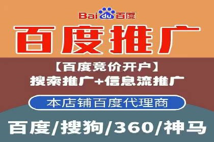 谷歌SEM案例研究：数据分析与效果评估